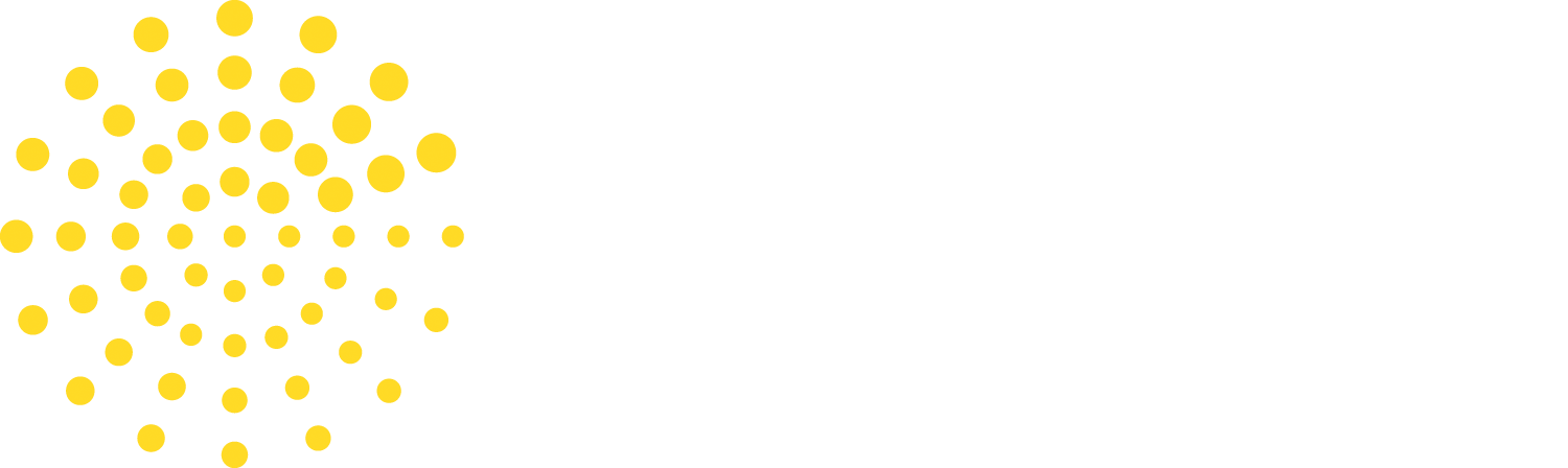 MindWise Innovations Logo